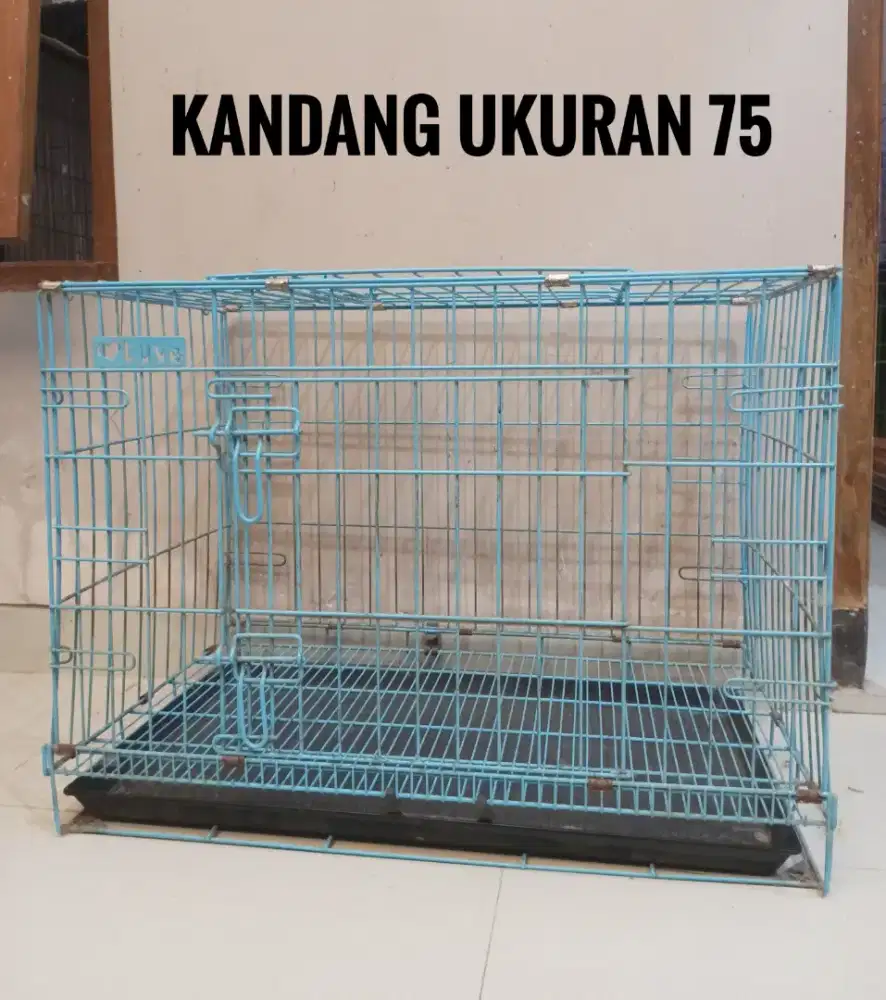 Kandang ukuran 75