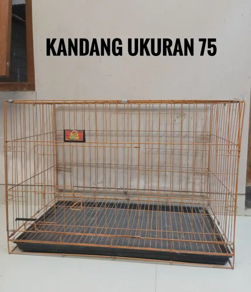 Kandang ukuran 75