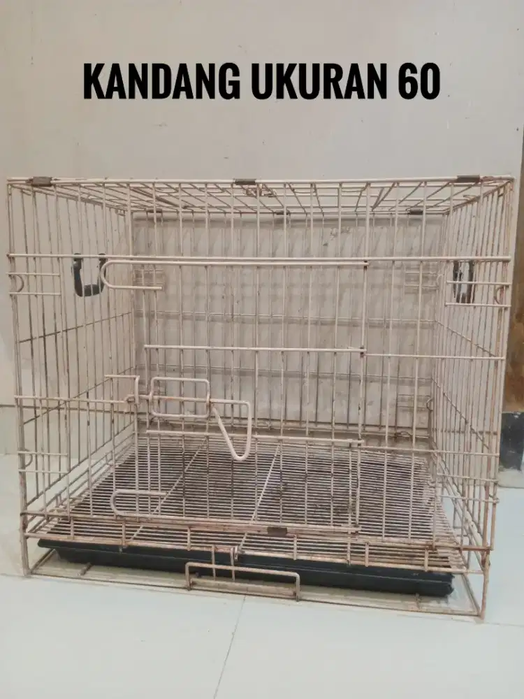 Kandang ukuran 60