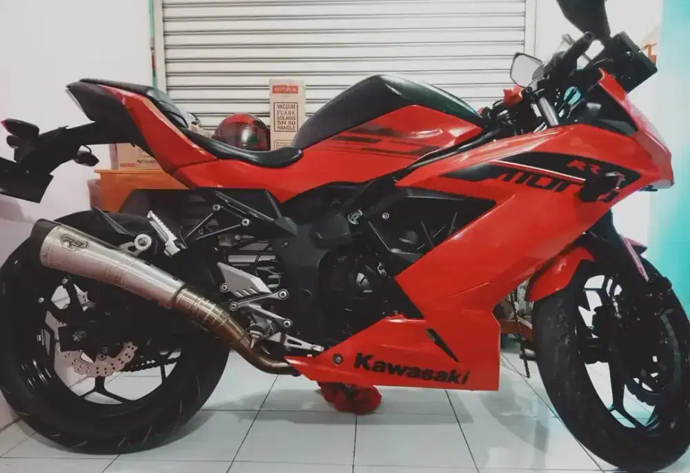 Kawasaki ninja rr 250sl (bx250a)