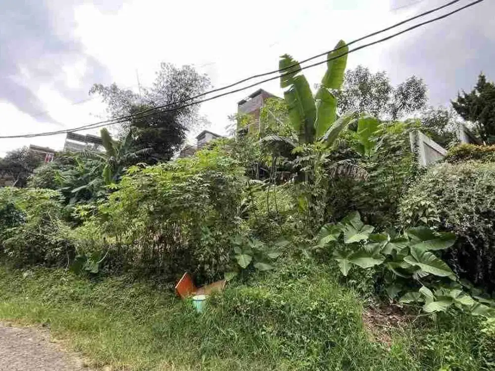 DIJUAL TANAH MURAH DI KAMPUNG PADI DAGO