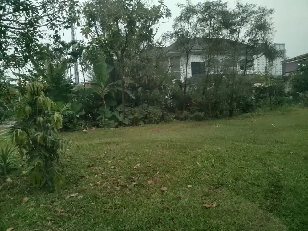 Dijual tanah di mansyur