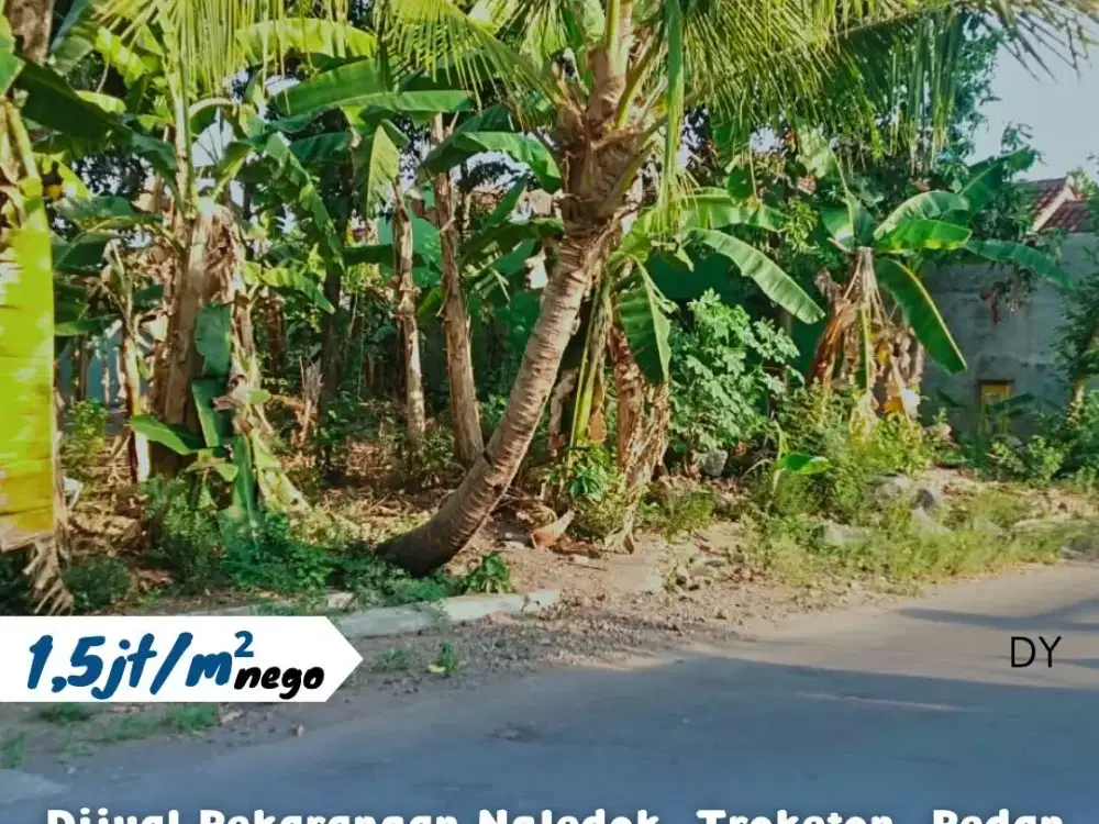 Dijual Tanah Pekarangan Di Ngledok, Troketon, Pedan, Klaten