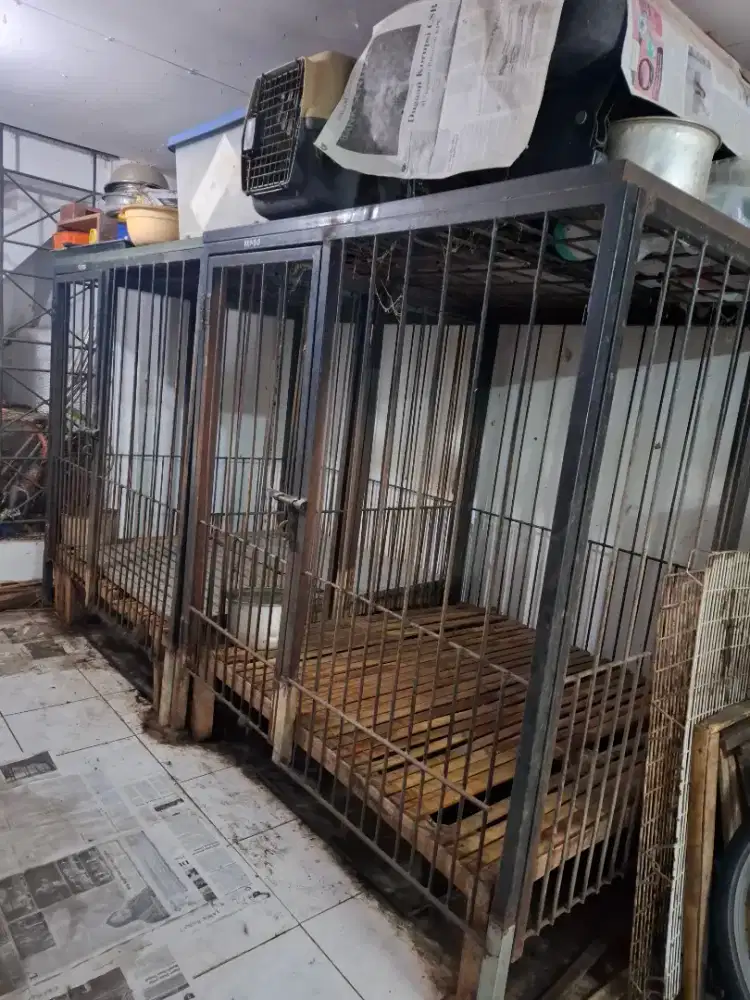 Jual Kandang Anjing Ukuran Jumbo
