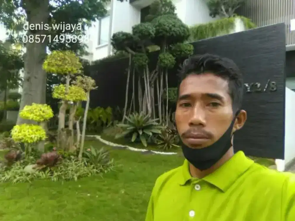 Rumput gajah mini harga termasuk ongkir dan jasa tanam 40.000/meter