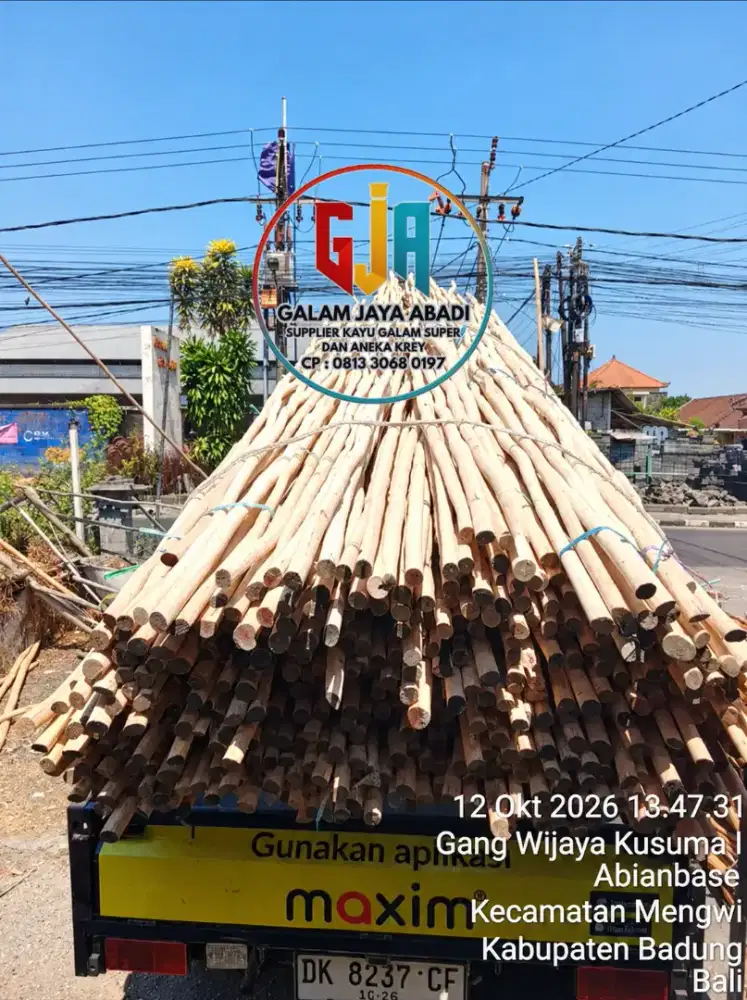 KAYU GALAM KALIMANTAN