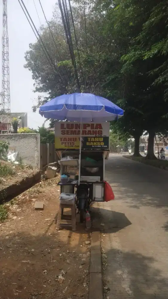 Lumpia Semarang