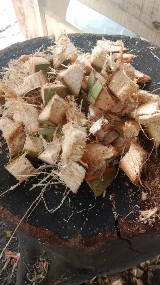 Coco husk dadu  2,5m media tamam