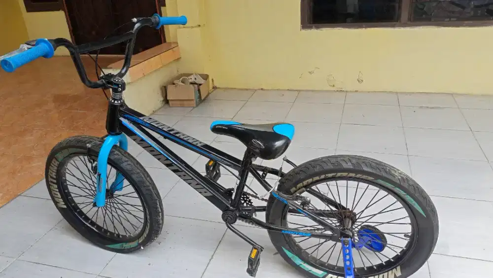 Jual sepeda anak bagus