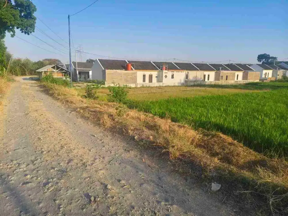Tanah Luas Zona Kuning Non LSD 7500m² di Ceper Klaten Harga Dibawah 1 Jt/m²