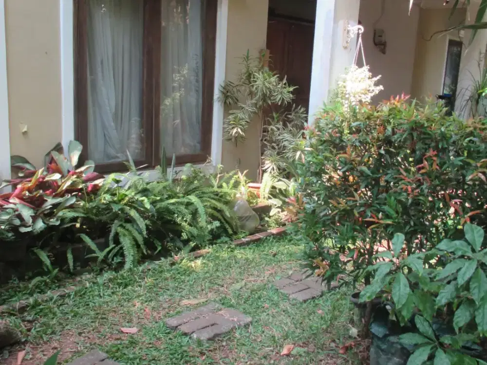 Rumah Hitung Tanah dengan Kebun Buah di Karang Pola Jati Padang Jakarta Selatan