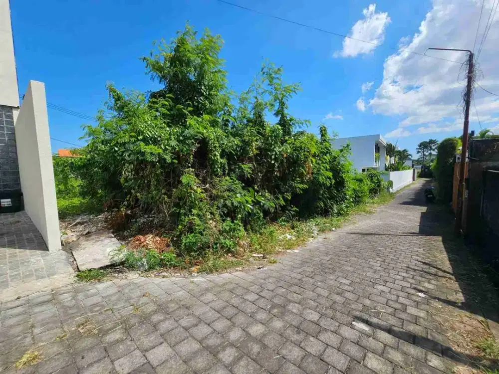 Tanah berawa canggu