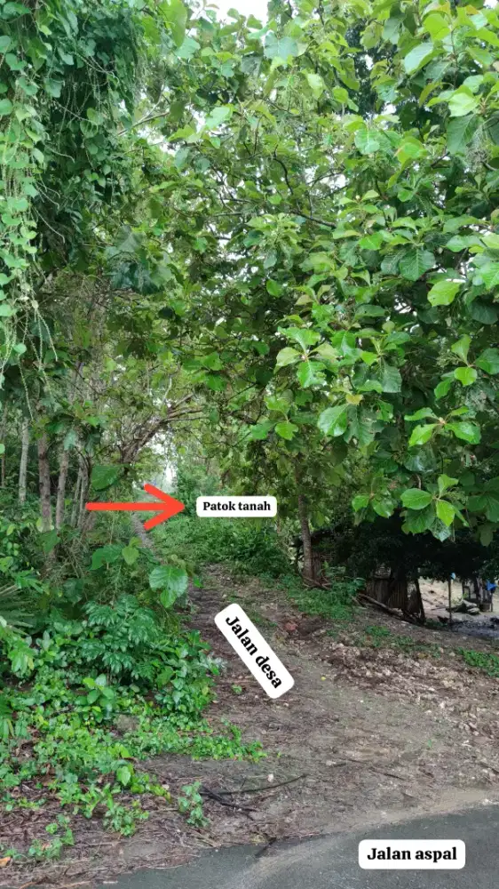 DIJUAL CEPAT TANAH  ( BUKAN LAHAN HIJAU)