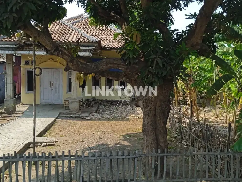 Dijual Tanah Luas 38HA di Subang Siap Bangun