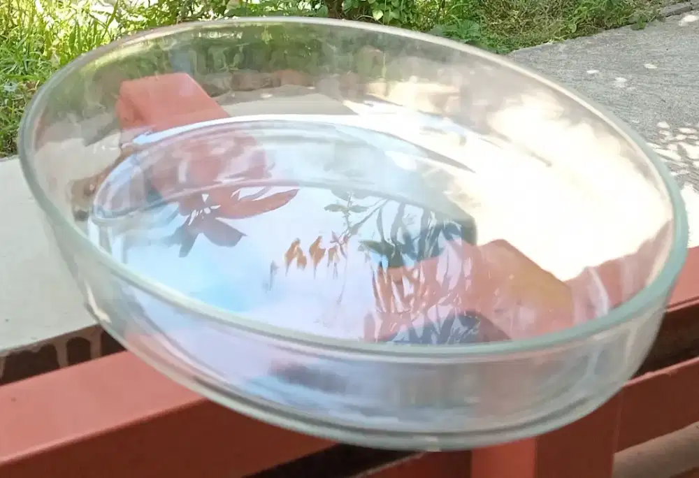 Mangkok Microwave Safe
