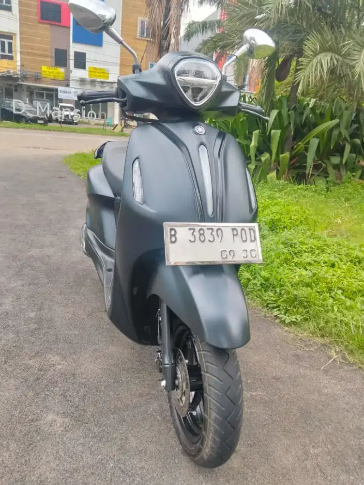 Grand filano lux 2024