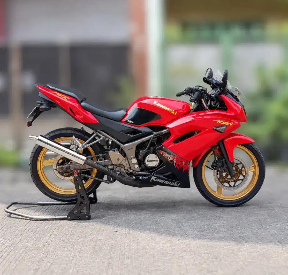 Kawasaki Ninja RR (2013 second)
