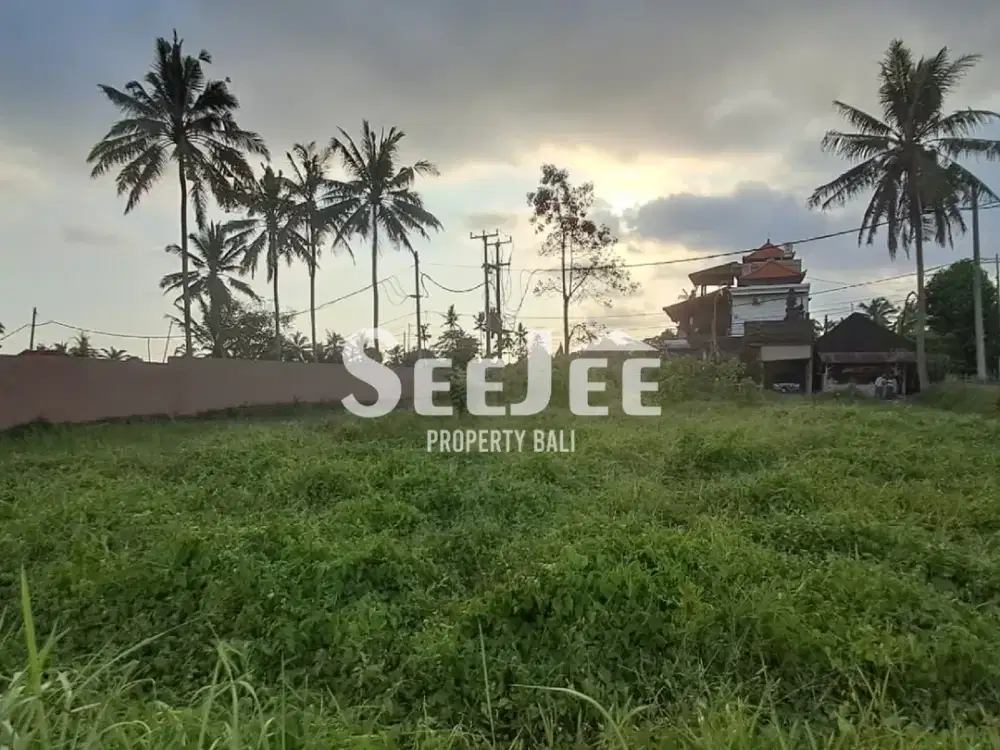 Dijual Tanah Hak Milik 10,25 Are di Pejeng 5 Menit Dari Ubud. Siap Dibangun - Slfu027