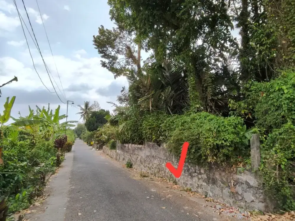 Tanah Pekarangan View Sawah Murah di Turi Sleman#Kode : TP 145