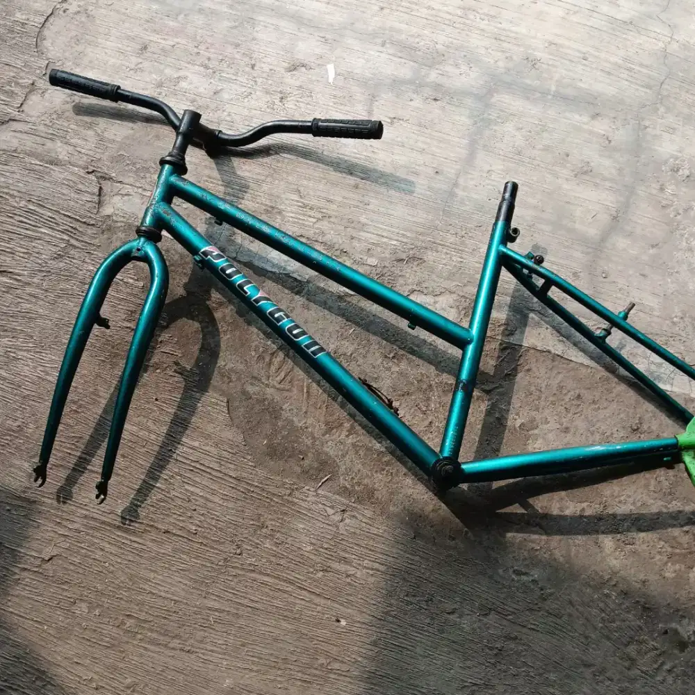 Frame lady polygon original