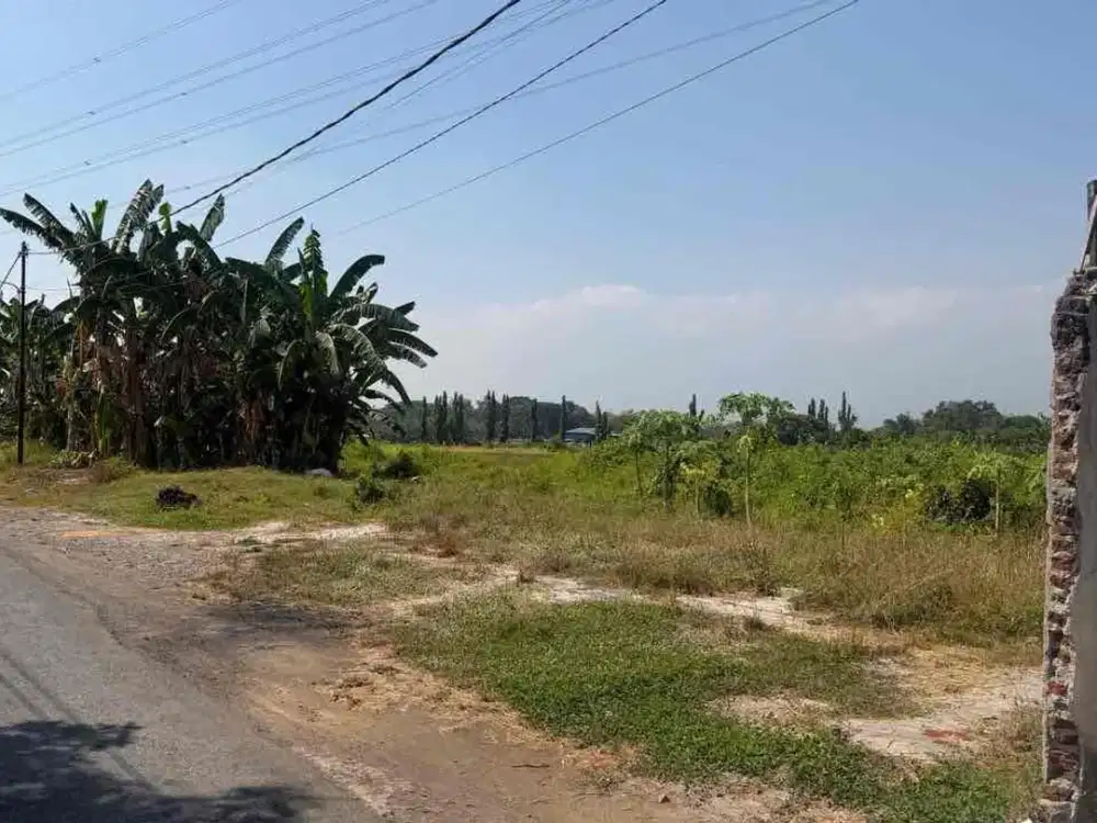 tanah siap bangun, cocok untuk rumah usaha / ruko, Kejayan, Pasuruan