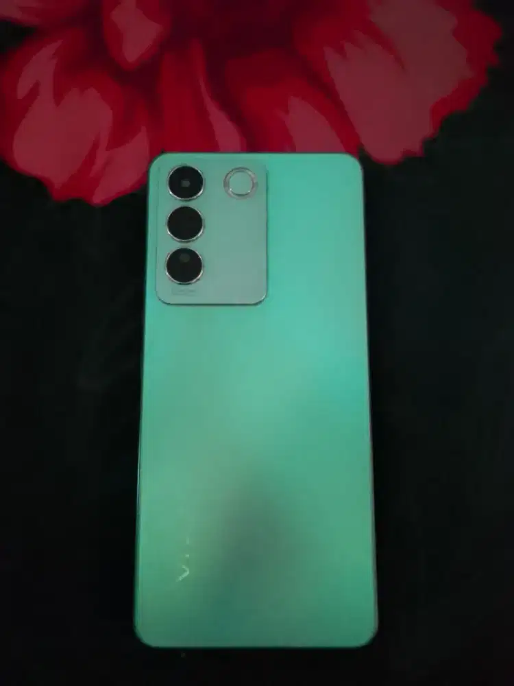 Vivo E27 12/256