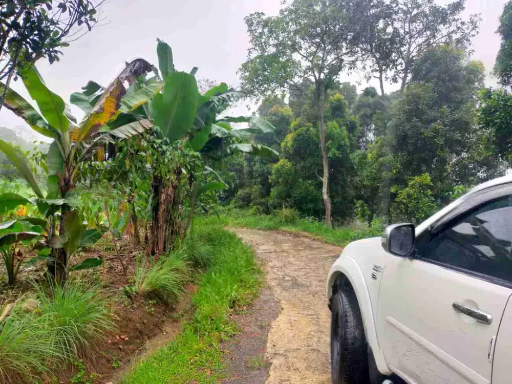 di jual tanah darat