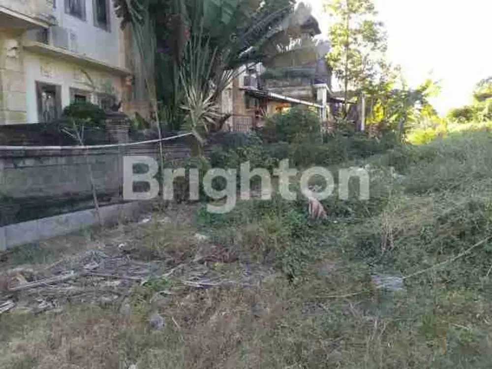 DIJUAL TANAH LUAS 45 ARE DI KESIMAN DENPASAR TIMUR
