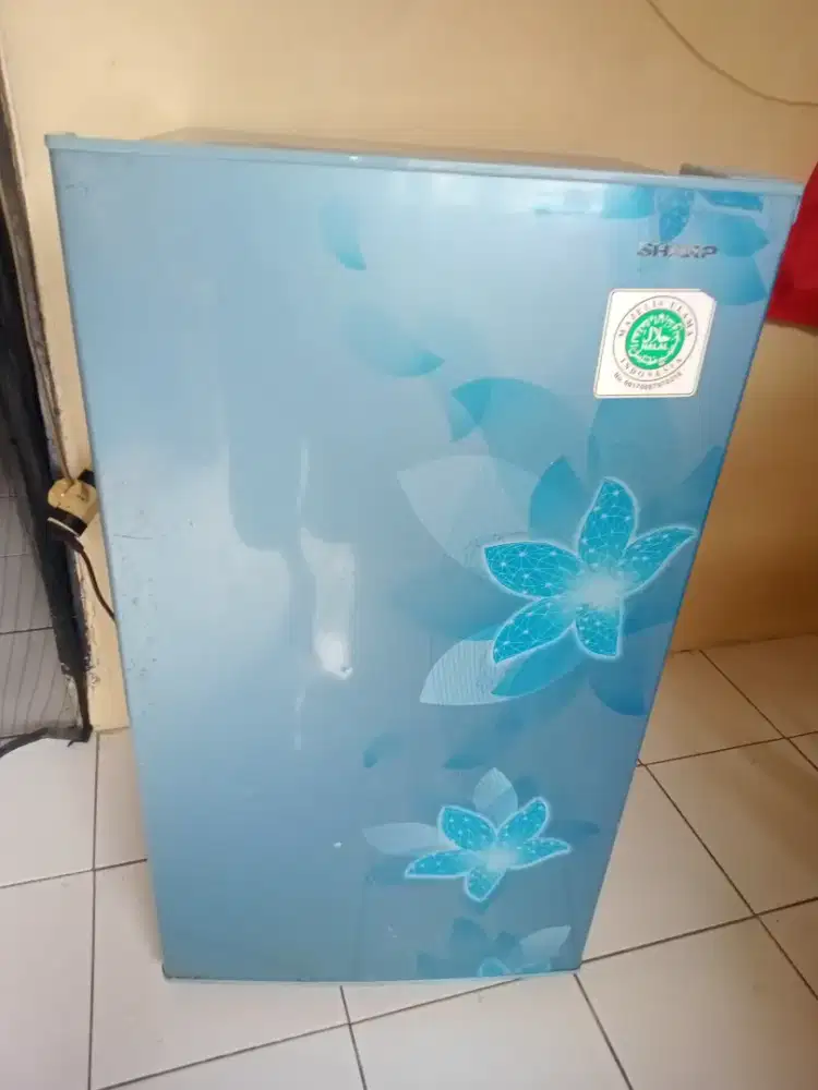 Kulkas 1pintu merk SHARP SJ-N166F-FP