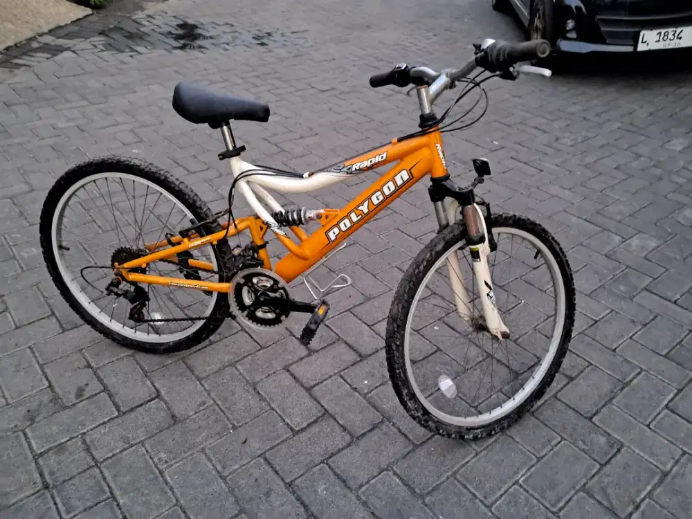 Mtb Polygon Rapid Original