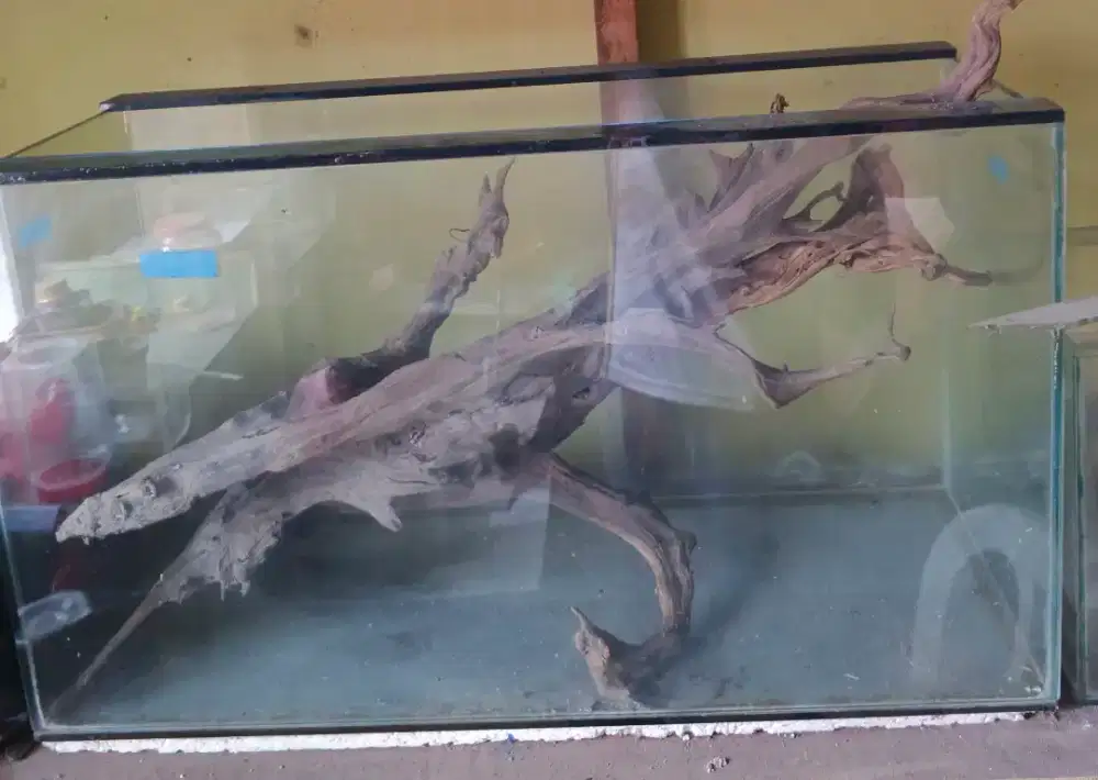 Aquarium + kayu