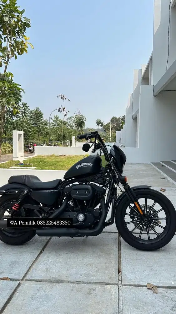 Harley Davidson Sportster 883 Iron