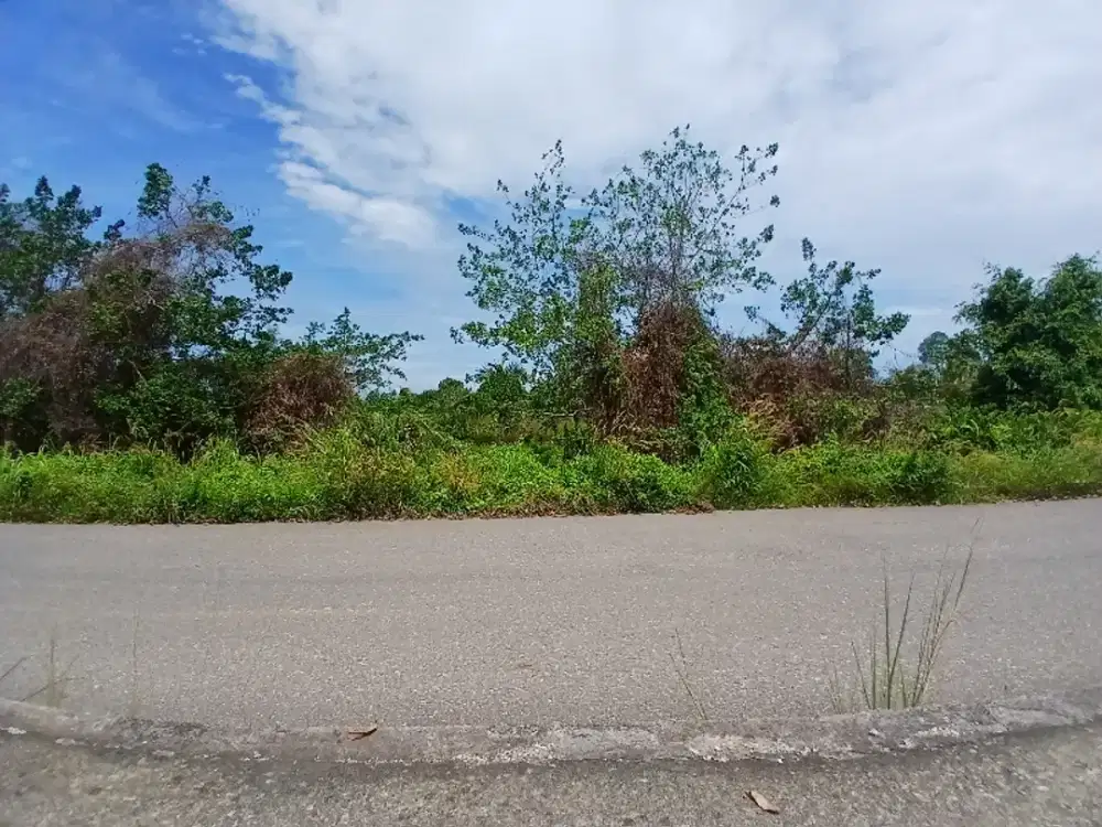Jual Tanah di Kab.Sorong jln.Kontener.Luas 1,5 Hektar