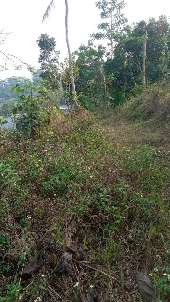 JUAL TANAH CEPAT, Amanah, Yang Beli Dimudahkan Rezekinya