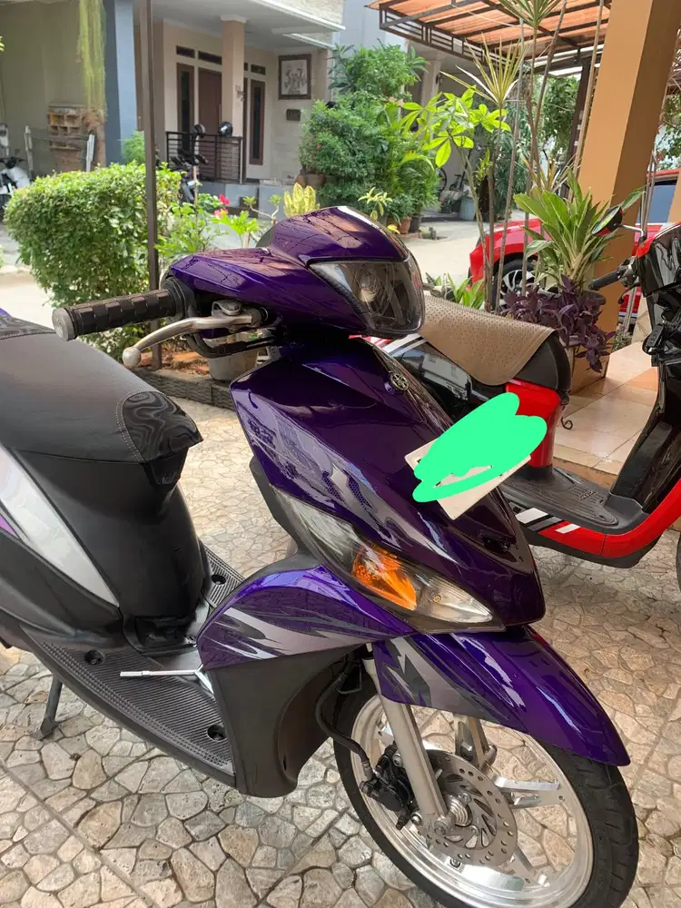 body mio j vietnam style
