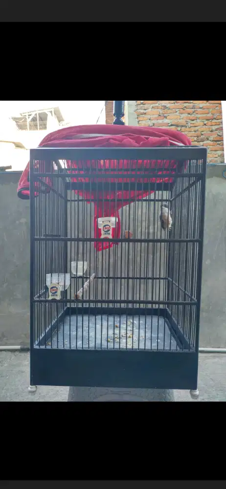 Pentet bahan rawatan