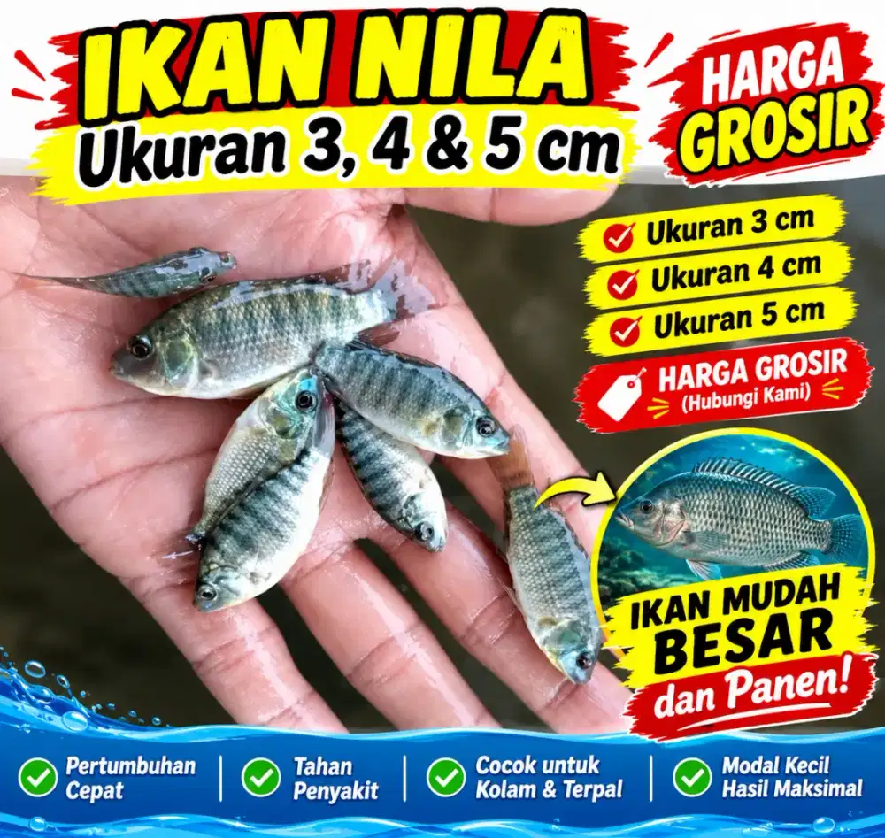 Bibit ikan nila
