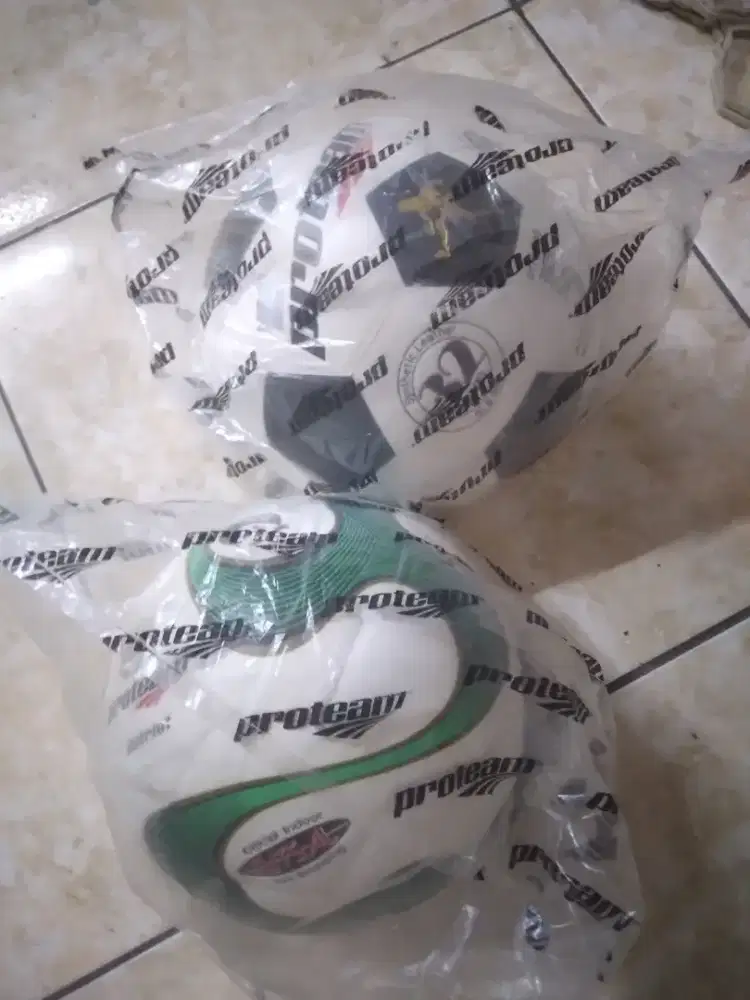 bola futsal proteam