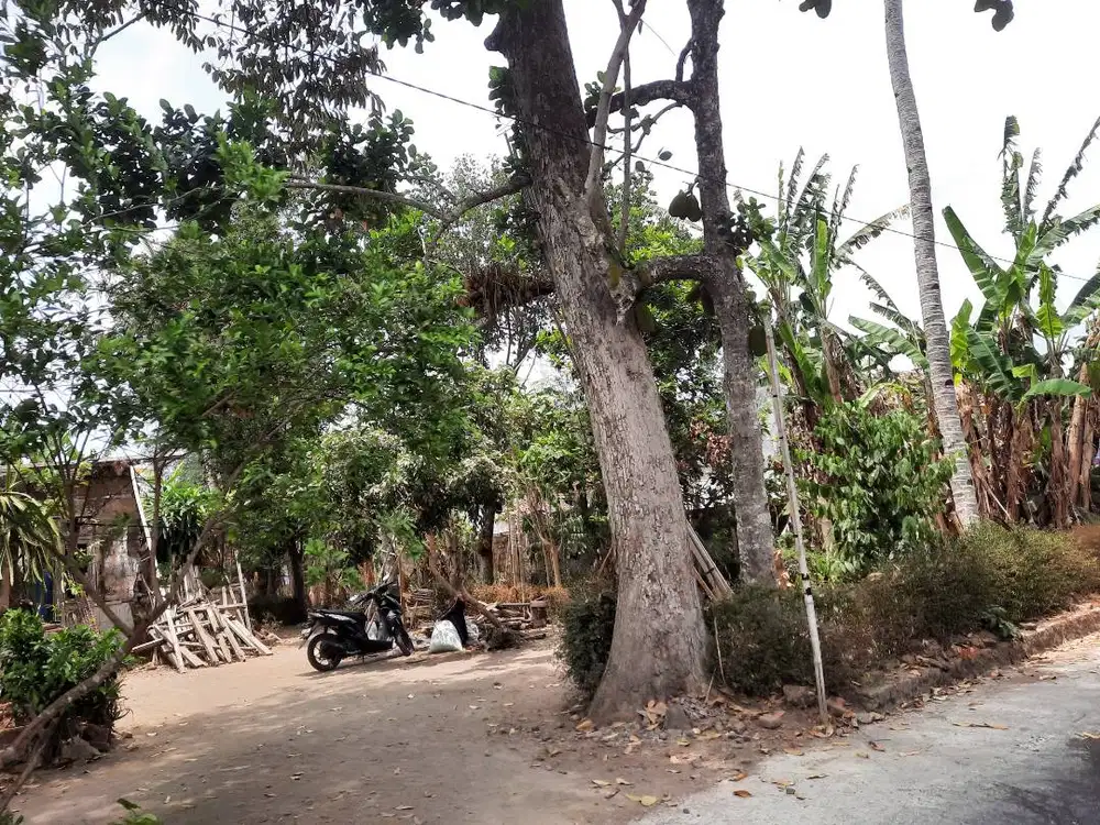 Dijual Tanah Pekarangan SHM, luas 344m² di Gamol, Balecatur, Gamping