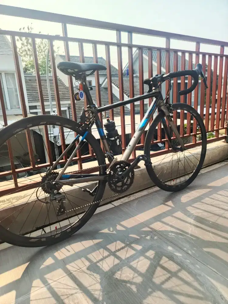 Polygon strattos s2 2021 Oreo