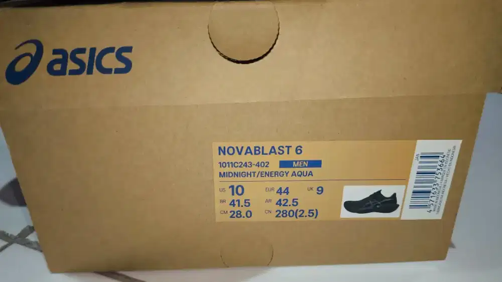 Asics Novablast 6