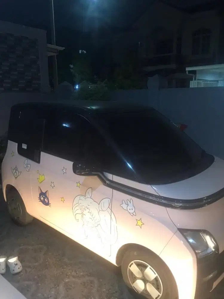 Wulling Air ev 2024