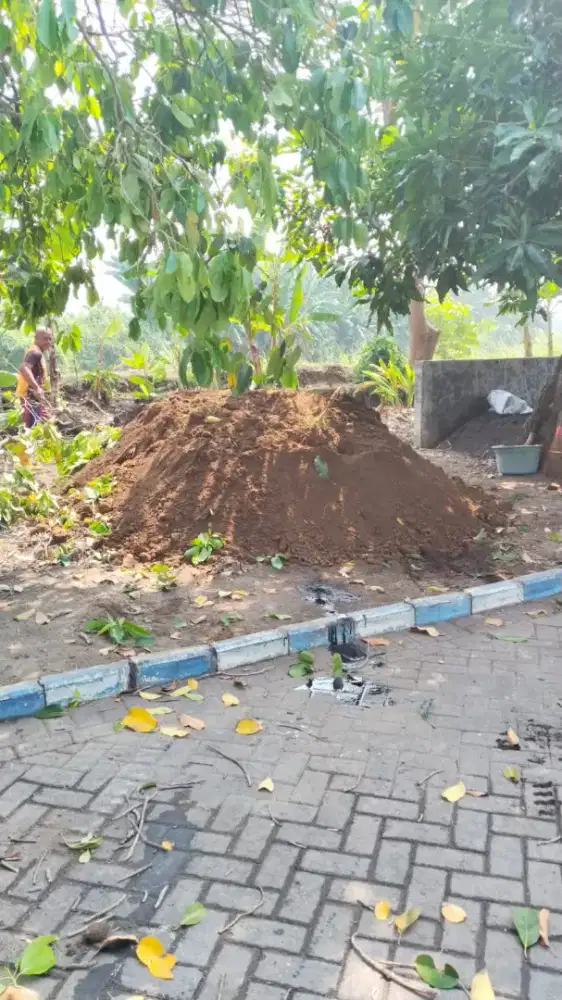 SIRTU URUG
Sirtu Urug / Tanah Taman / Tanah Subur