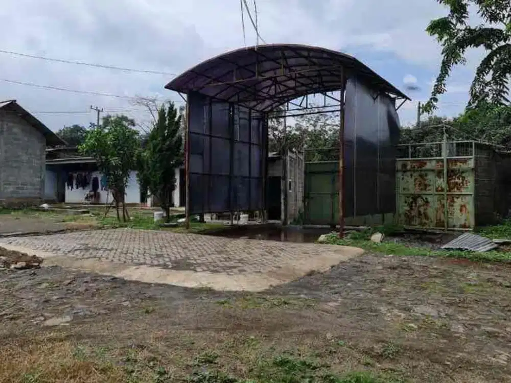 Peternakan Ayam Aktif Dijual beserta usahanya di Pasuruan