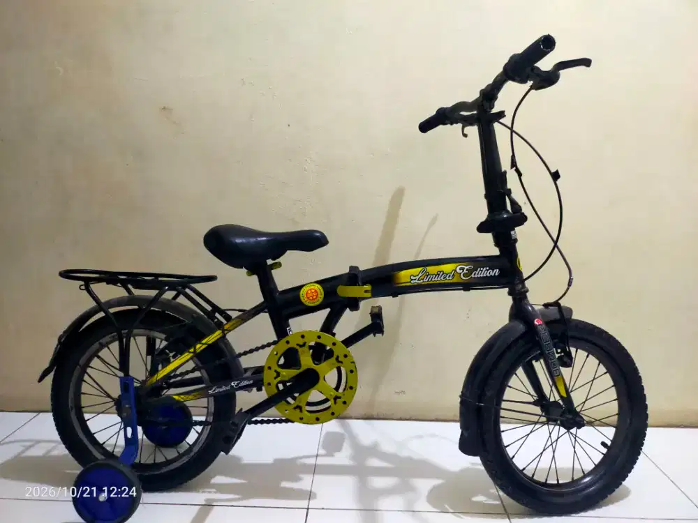 Sepeda anak roda 3