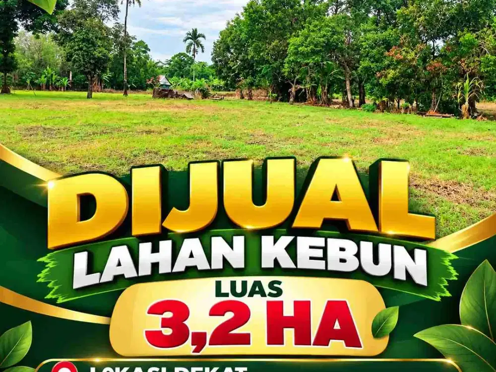 dijual lahan kebun di carangki
