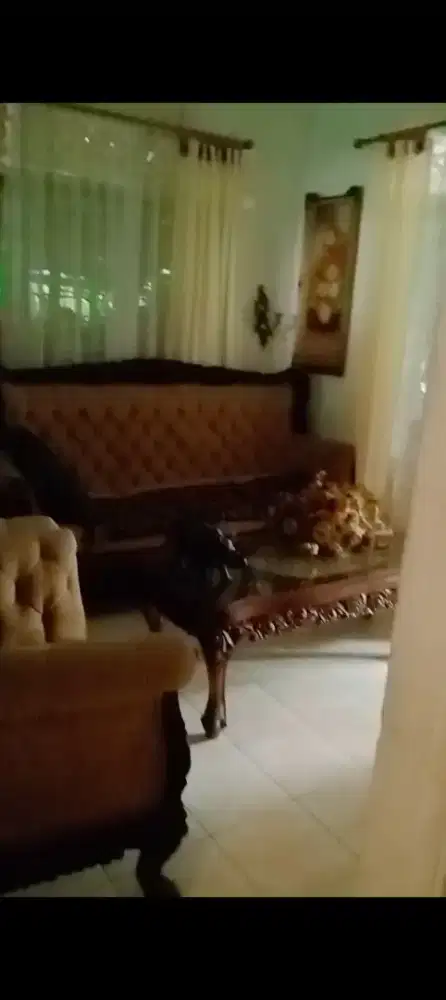 jual satu set kursi jati kokoh ukuran besar