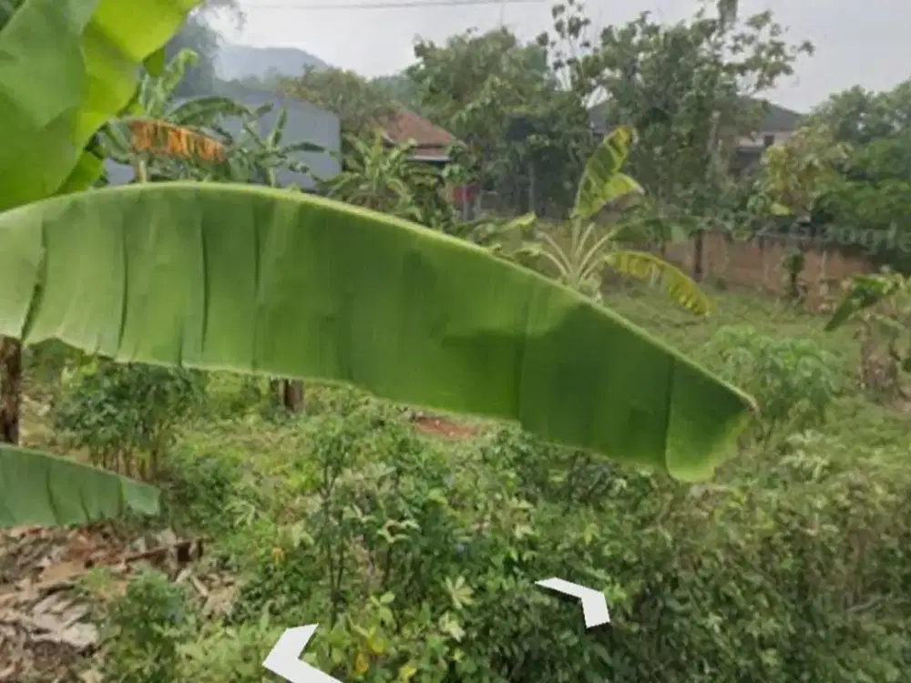 Tanah 531m2 shm ciseke dkt jln sayang jatinangor dkt unpad