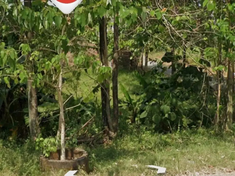 Tanah 258m2 shm caringin jatinangor, dkt jatos dan unpad