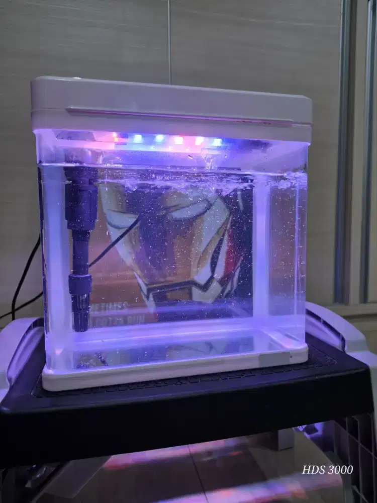 AQUARIUM KONDISI BAGUS + BAIK